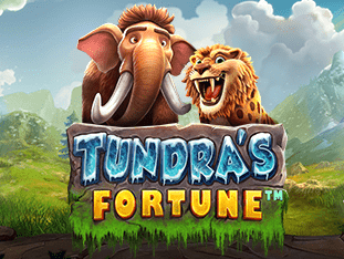 Tundra’s Fortune™ thumbnail